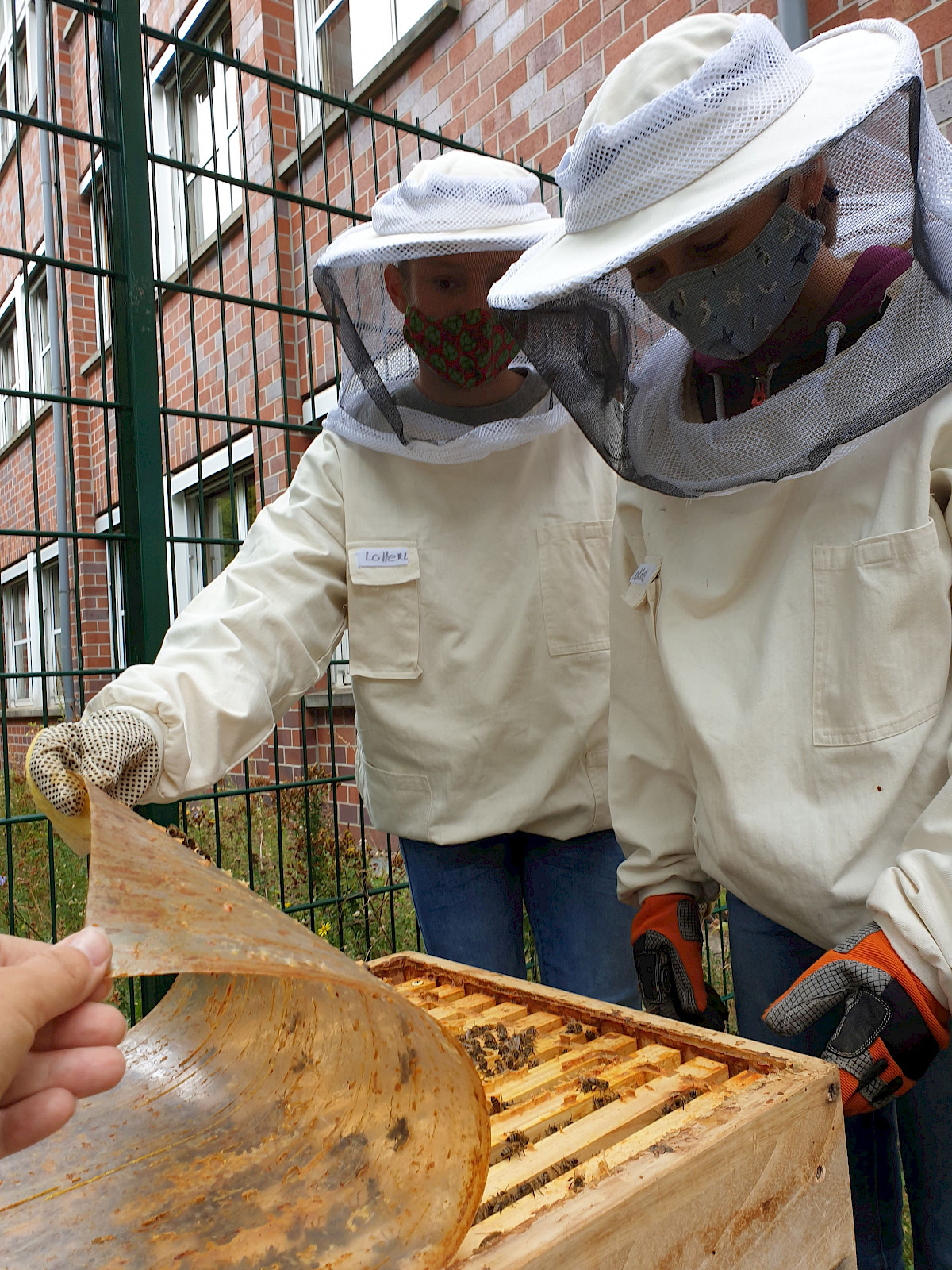 Am Städtischen Gymnasium Straelen versüßt ein ganz besonderes Volk den dortigen Schulalltag. Tausende von Bienen sind das Ein und Alles der Schülergenossenschaft „Honeybee Industries eSG“.