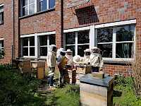 Am Städtischen Gymnasium Straelen versüßt ein ganz besonderes Volk den dortigen Schulalltag. Tausende von Bienen sind das Ein und Alles der Schülergenossenschaft „Honeybee Industries eSG“.